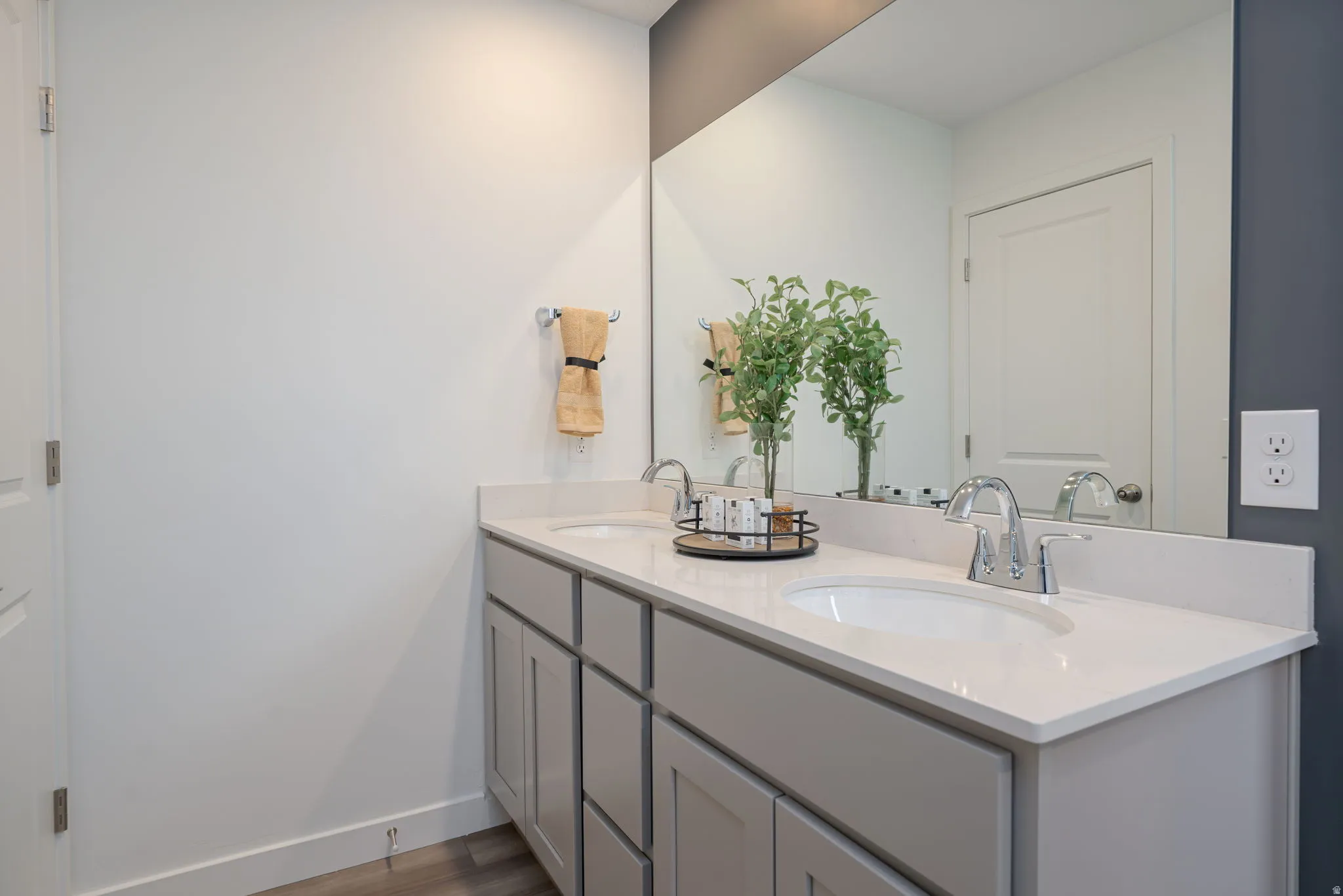 Dual sink vanity featuring light gray cabinetry and a white countertop