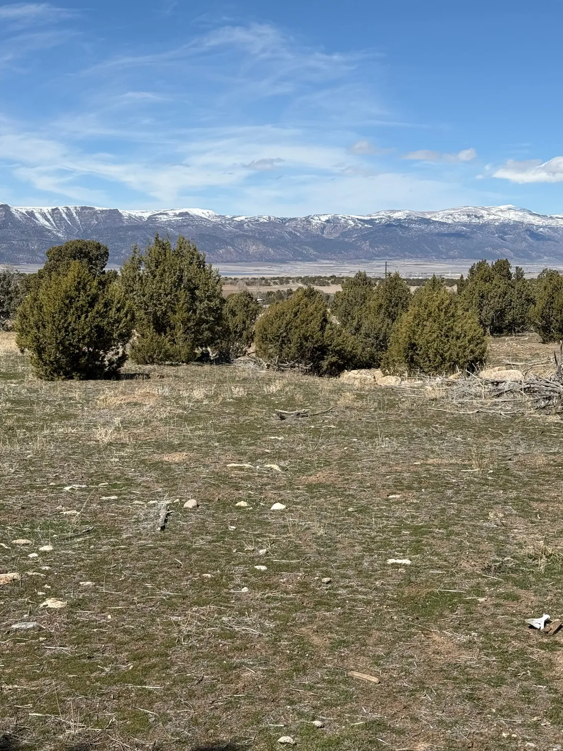 Expansive undeveloped land featuring natural vegetation and distant snow-capped mountains