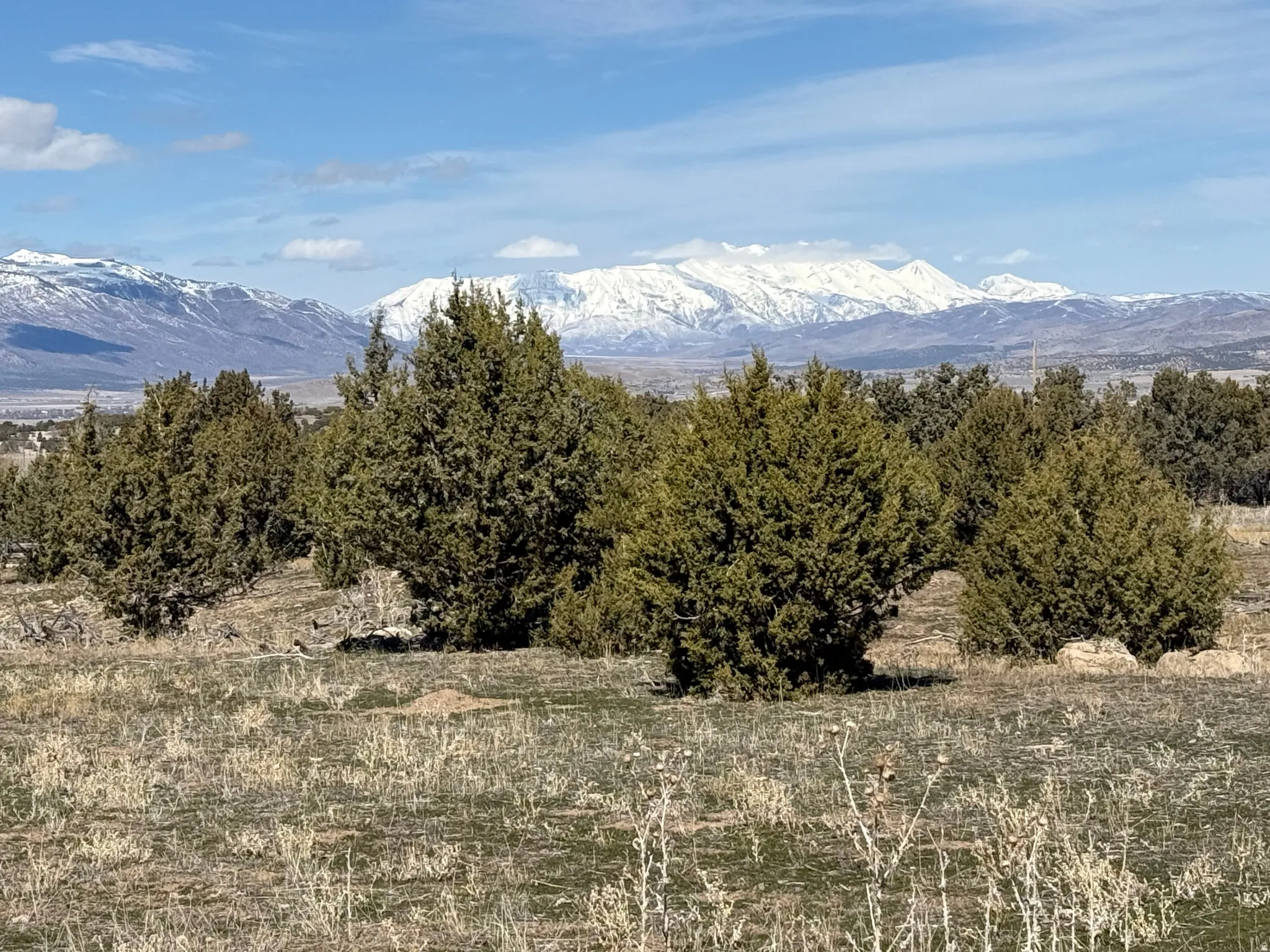 Expansive natural landscape featuring scattered evergreen shrubs and groundcover