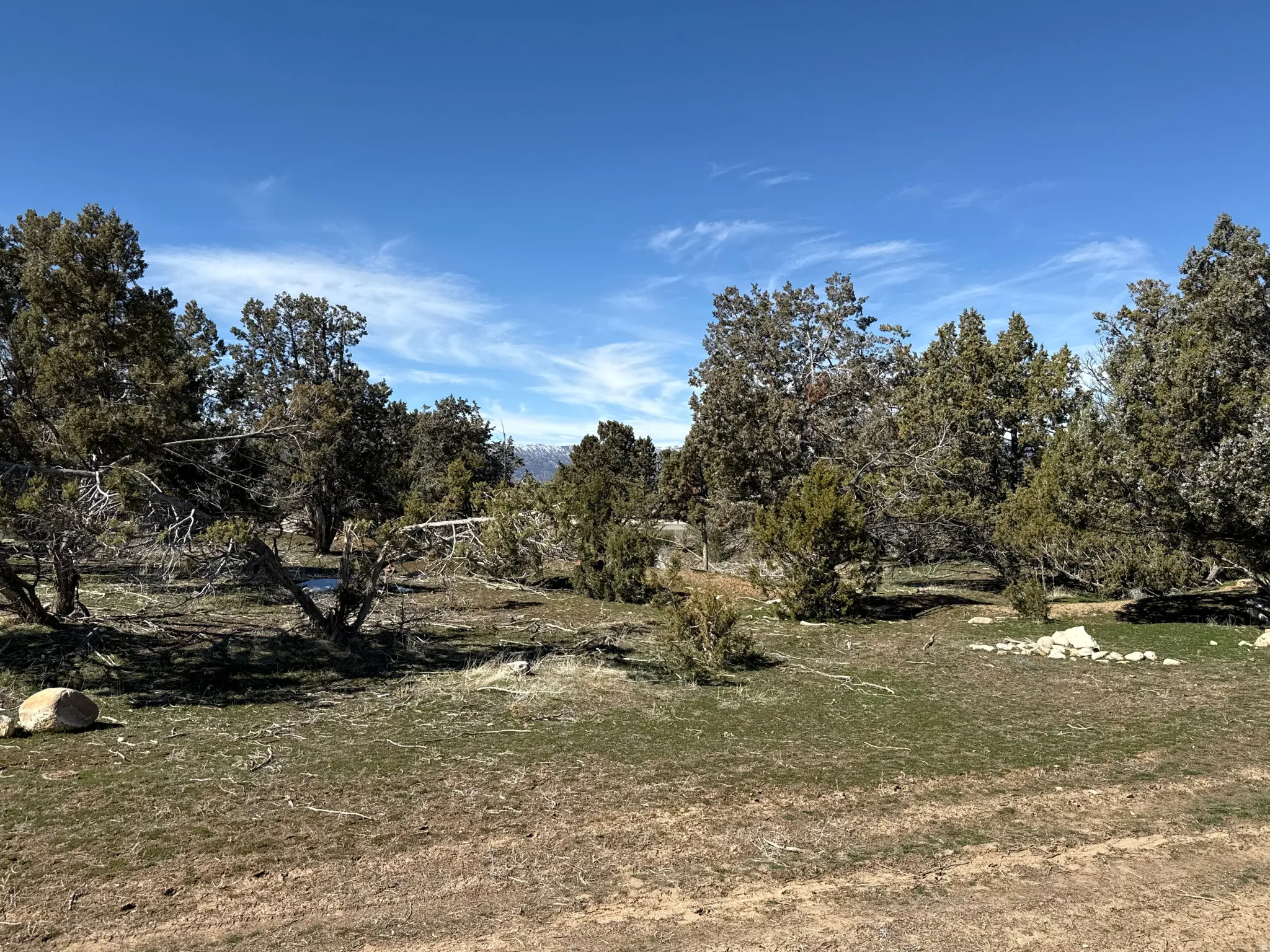 Expansive undeveloped land featuring natural foliage and a clear blue sky