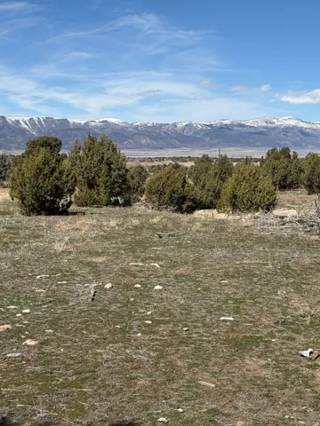 Expansive undeveloped land featuring natural vegetation and distant snow-capped mountains