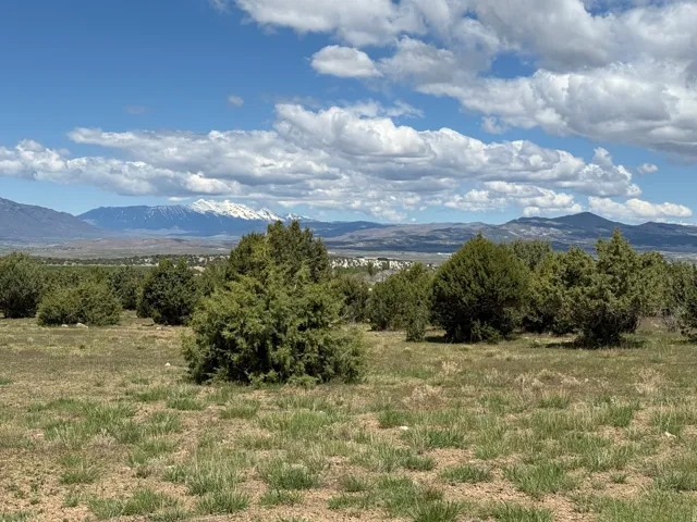 Expansive property featuring natural landscaping, mature juniper trees, and distant snow-capped mountain ranges