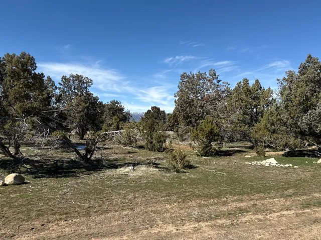 Expansive undeveloped land featuring natural foliage and a clear blue sky