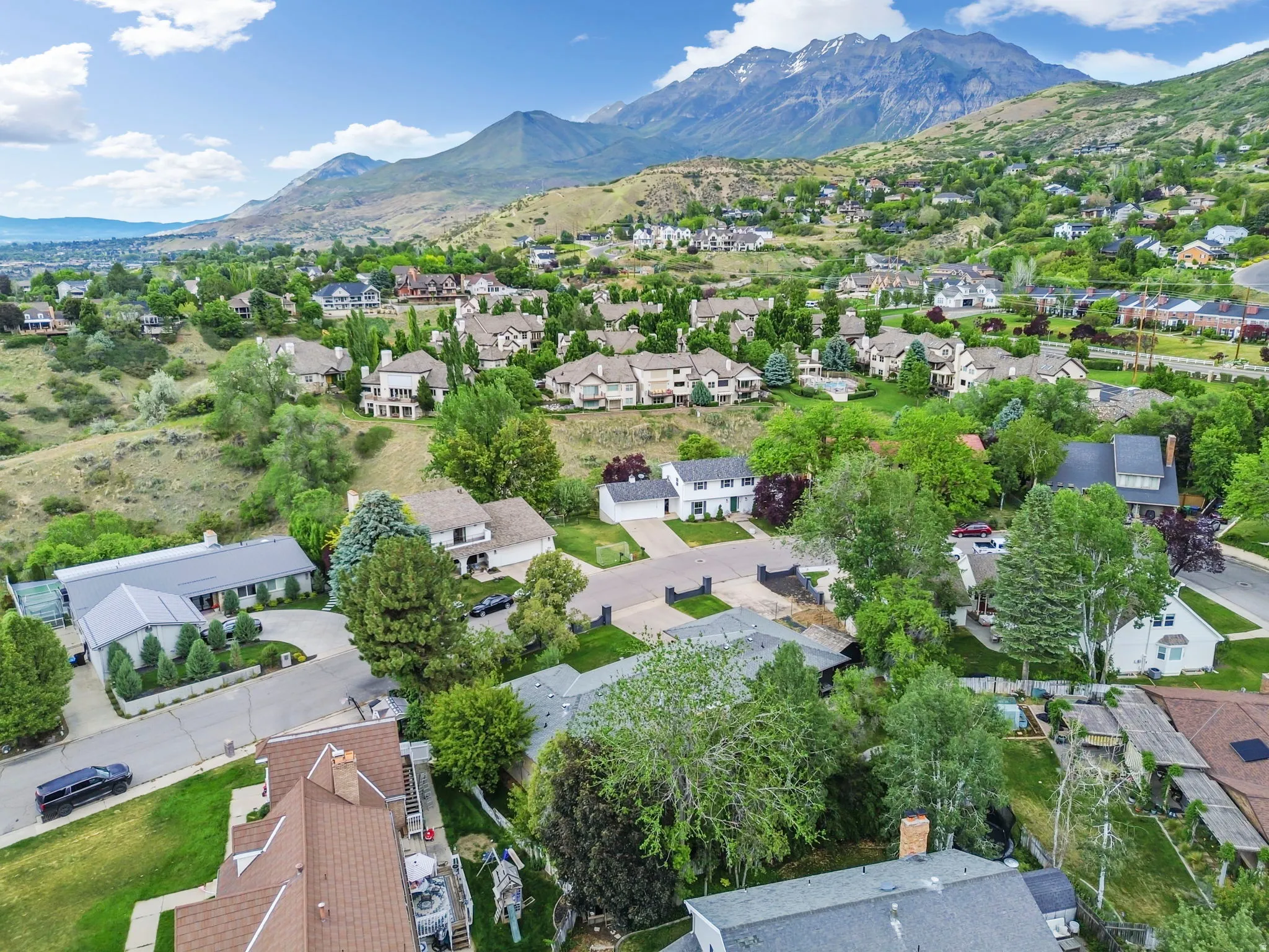 Residential neighborhood featuring varied architectural styles and mature landscaping, with a prominent mountain backdrop