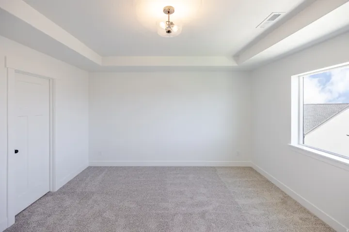 Tray ceiling with a central light fixture, wall-to-wall carpeting, and a window with a white frame