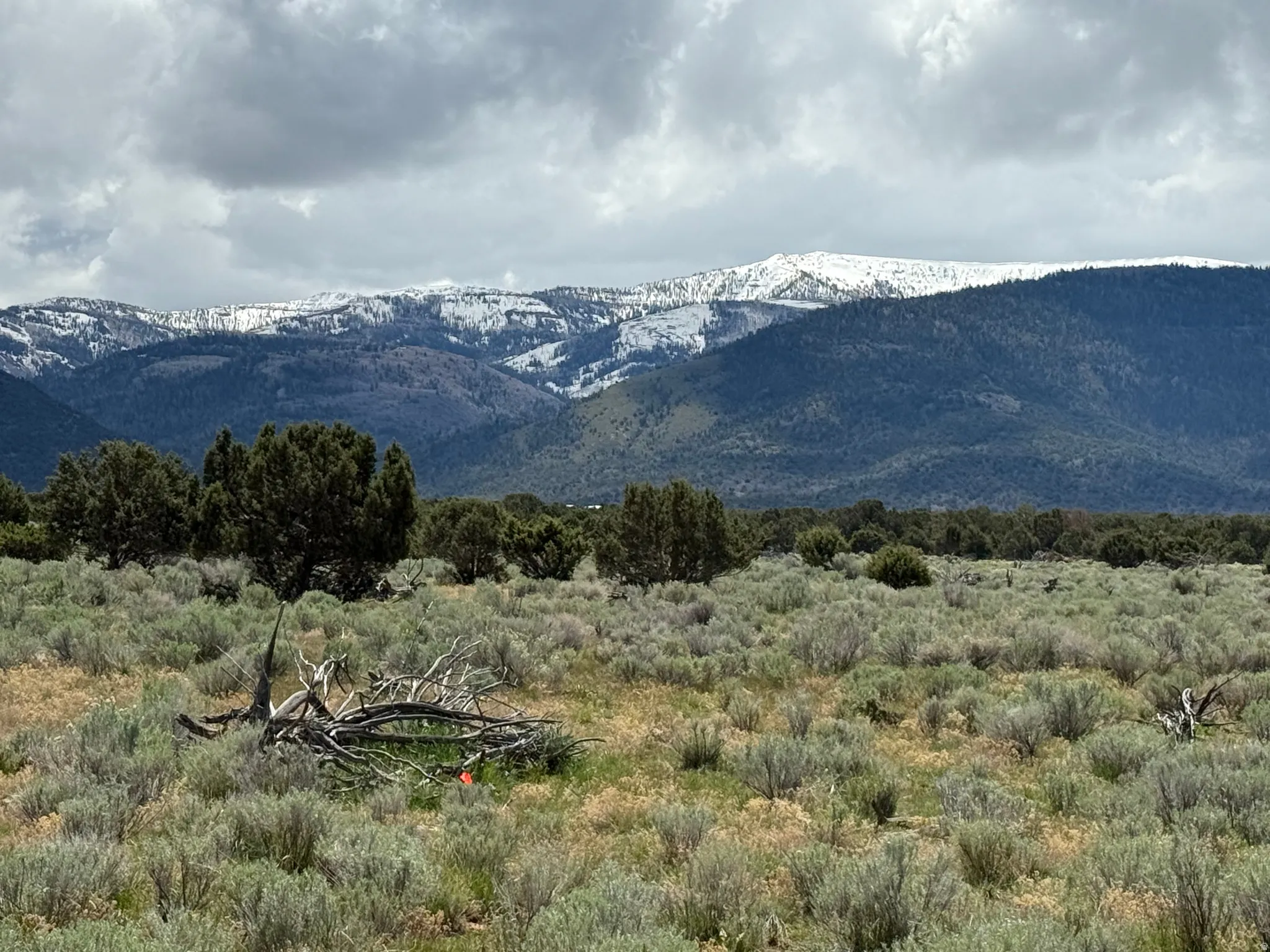 Expansive natural landscape featuring varied topography