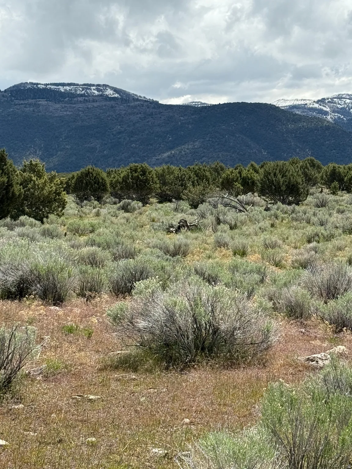 Expansive land parcel featuring natural shrubbery and varied ground cover