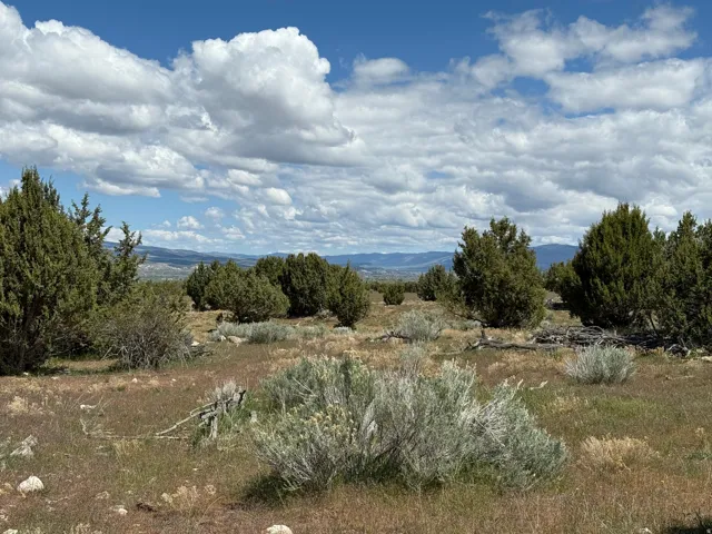 Expansive natural landscape featuring scattered evergreen trees and sagebrush, with distant mountains under a blue sky with white clouds
