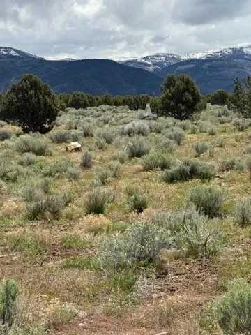 Expansive natural terrain featuring sparse vegetation, scattered juniper trees, and distant snow-capped mountains