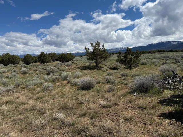 Expansive open terrain featuring natural vegetation, scattered juniper trees, and a backdrop of distant, snow-capped mountains