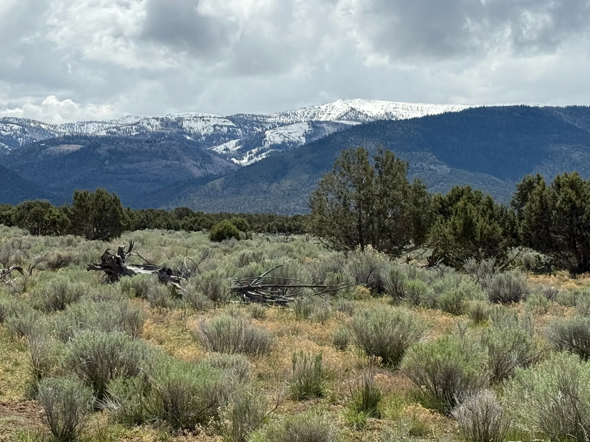 Expansive landscape featuring sagebrush and scattered evergreen trees, with snow-capped mountains in the background