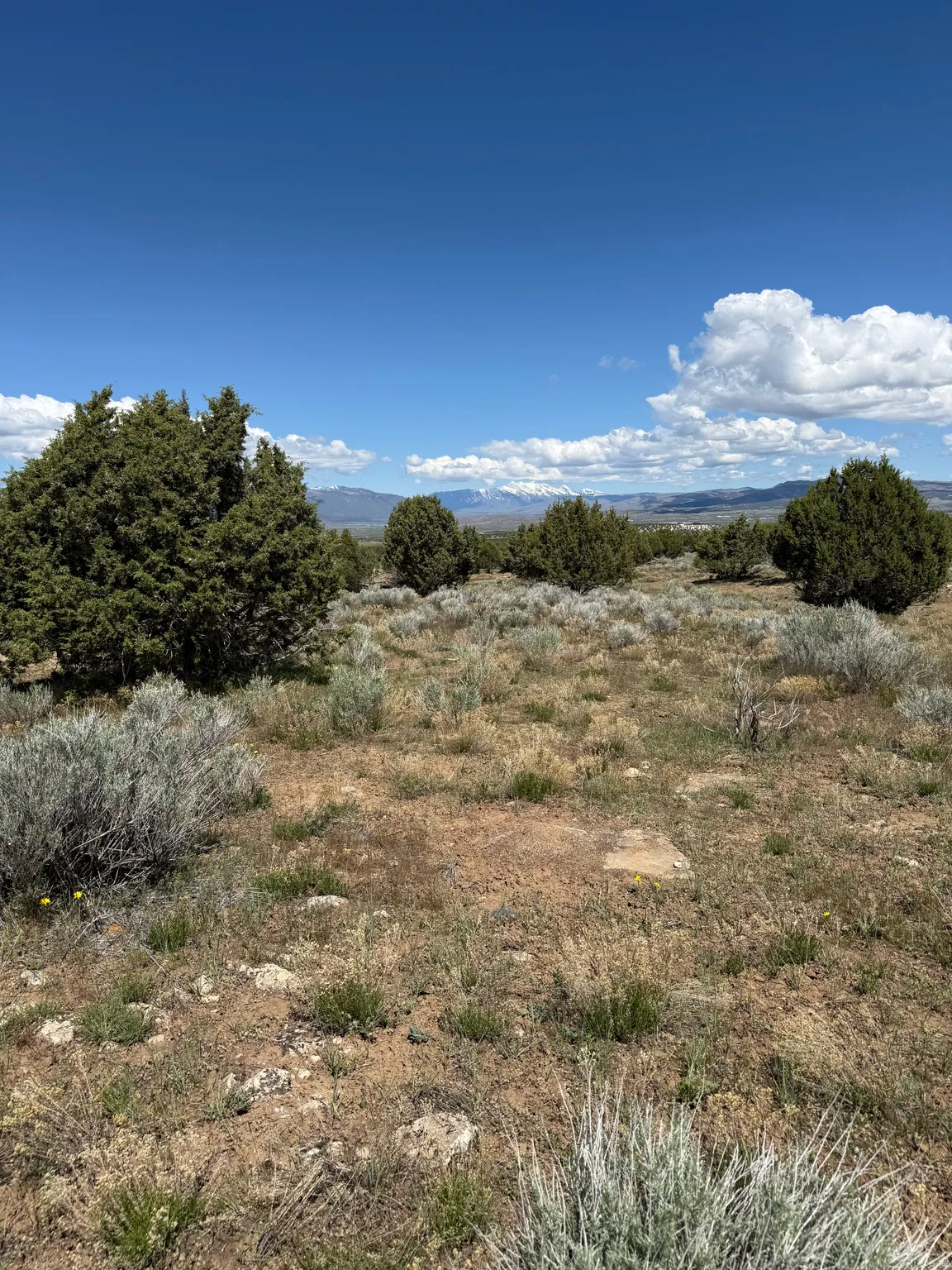 Expansive natural terrain featuring sparse vegetation and distant mountain ranges under a clear sky