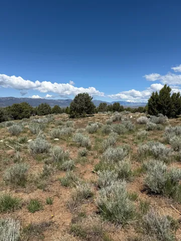 Expansive undeveloped land featuring natural sagebrush and scattered evergreen trees