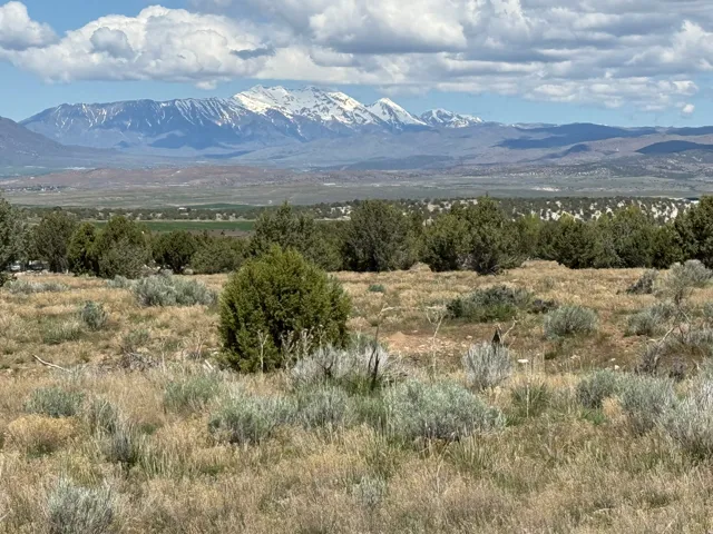 Expansive landscape featuring distant snow-capped mountains and a broad sky with clouds