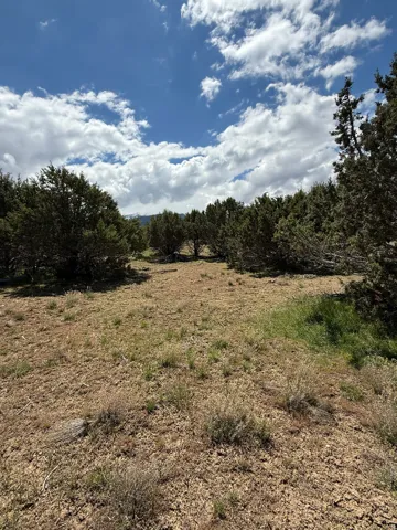 Unit 19, Spring City, Utah 84662