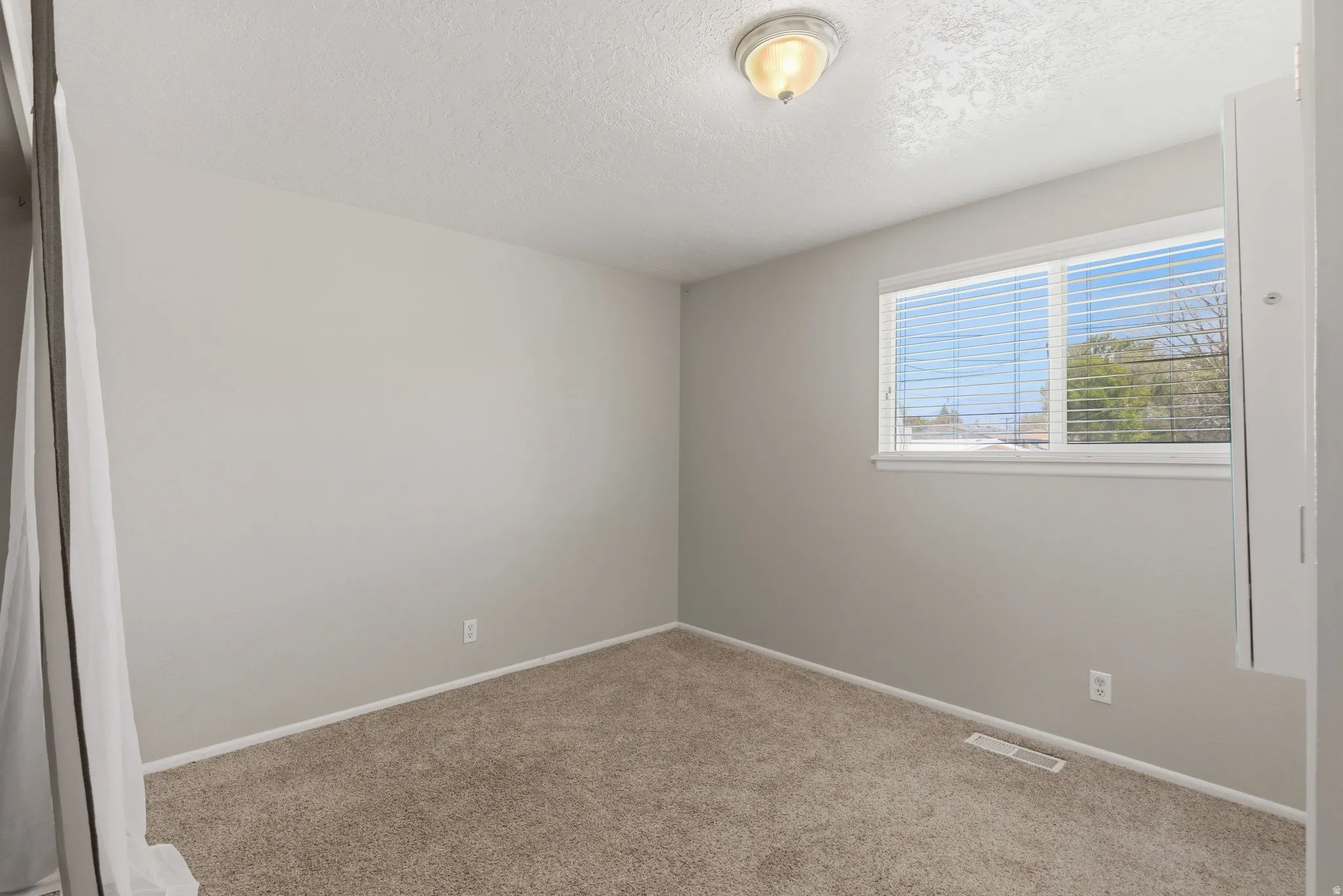 Carpeted room with a double-pane window, horizontal blinds, a ceiling-mounted light fixture, and light gray wall paint