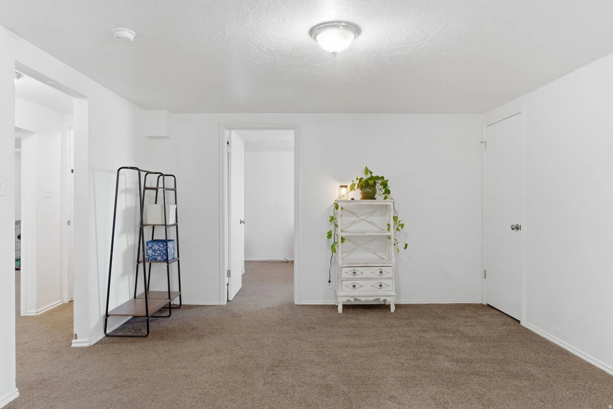 Carpeted room with white painted walls and trim