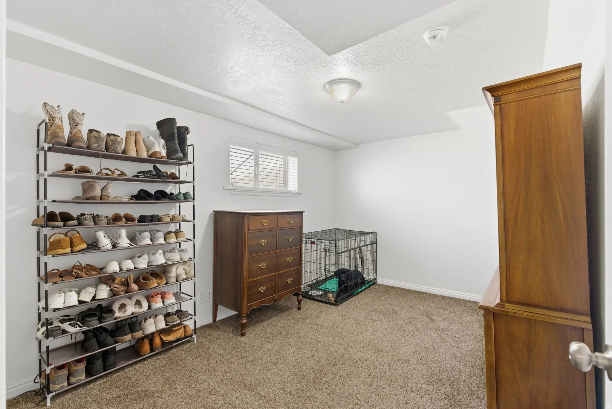 Carpeted room with a single window featuring horizontal blinds