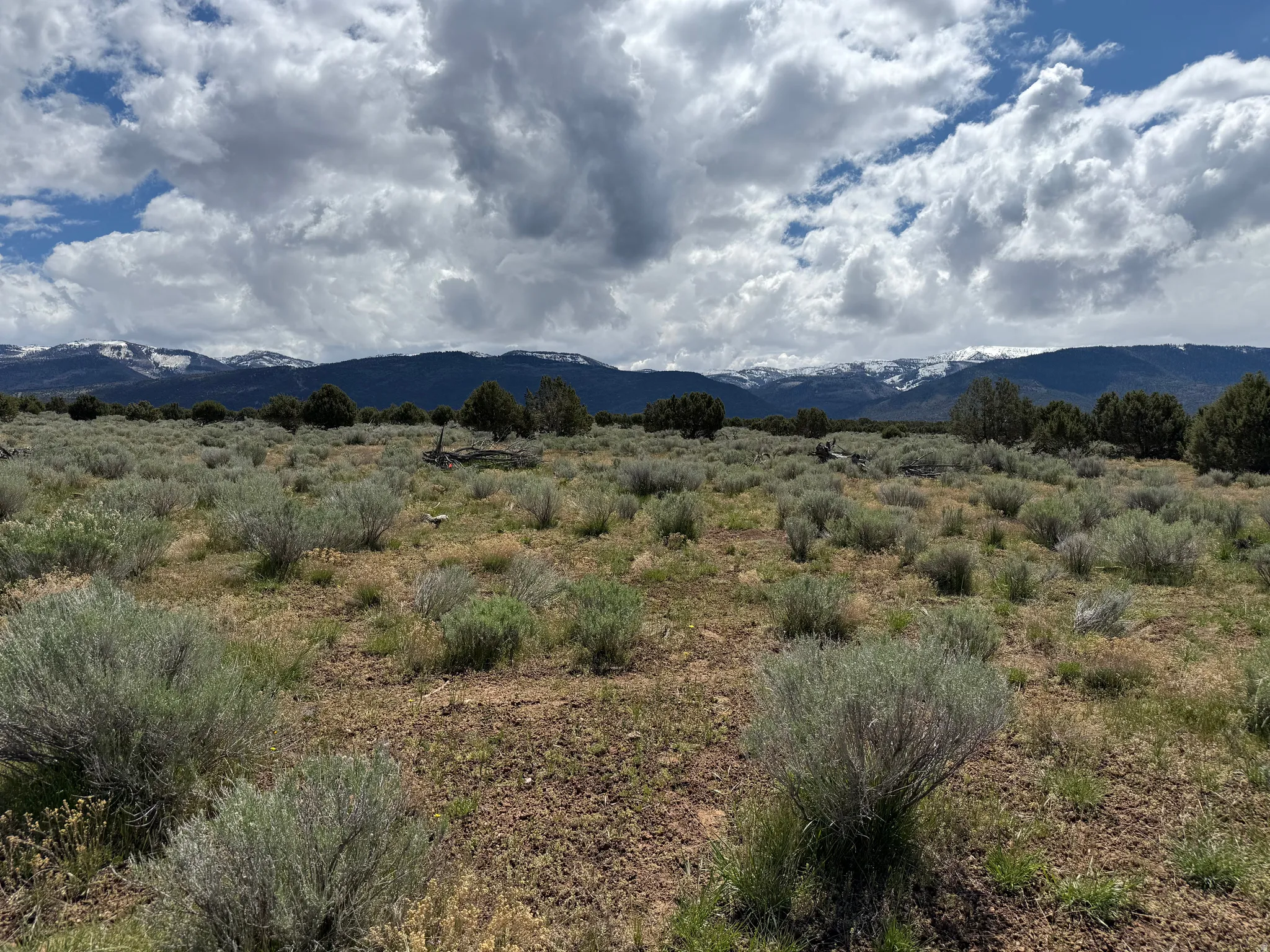 Expansive open terrain featuring natural vegetation and distant snow-capped mountains