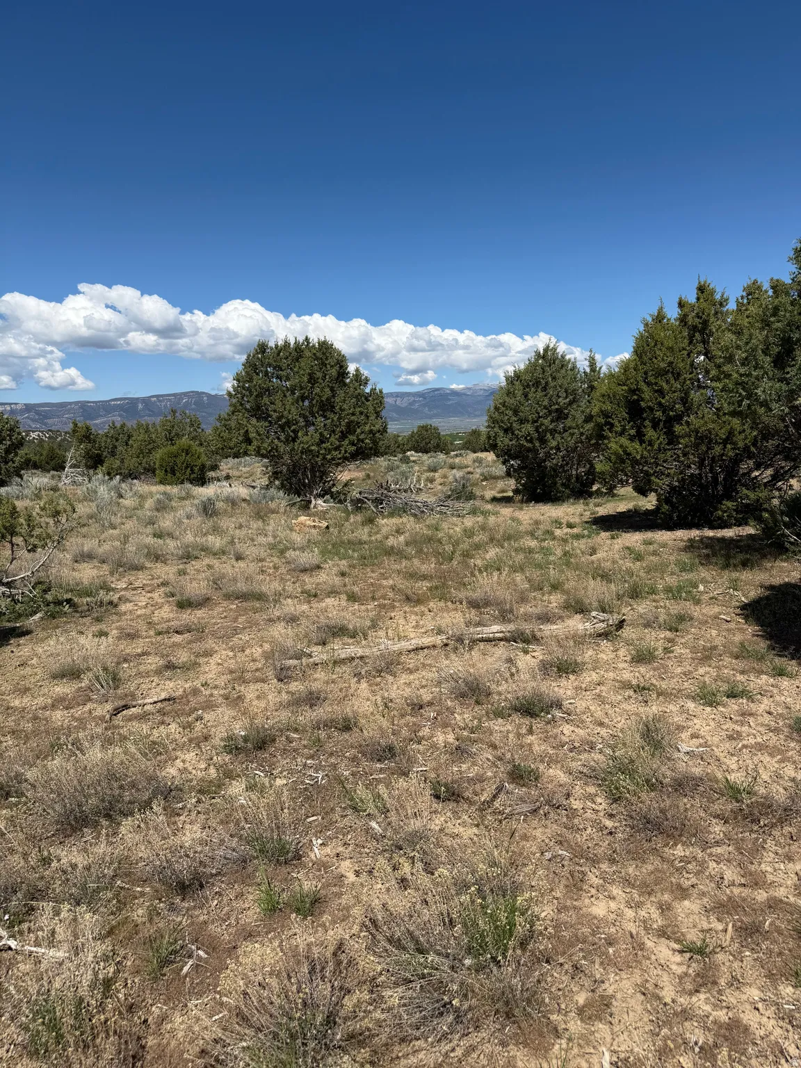 Expansive undeveloped terrain featuring natural vegetation and scattered trees