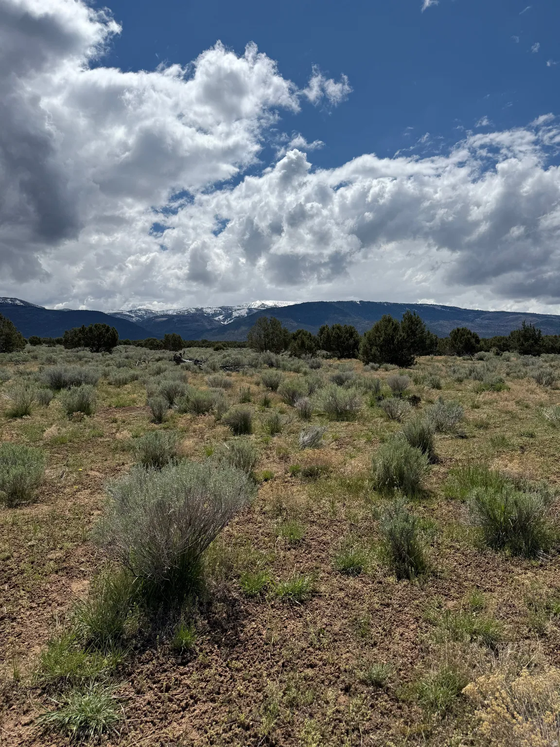 Expansive open land featuring sparse vegetation and distant snow-capped mountains under a dynamic sky
