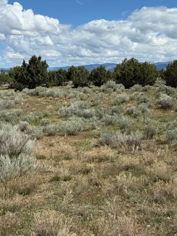 Expansive undeveloped land featuring natural foliage and distant mountain ranges