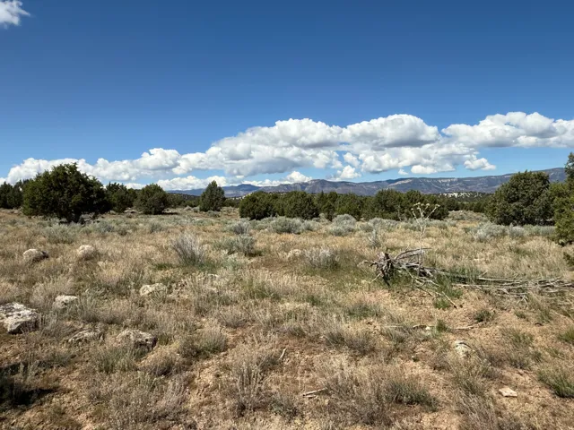 Expansive natural landscape featuring varied vegetation