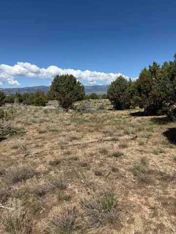 Expansive undeveloped terrain featuring natural vegetation and scattered trees