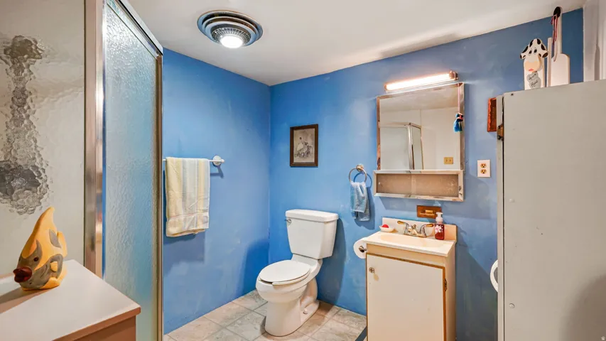 Bathroom featuring a glass-enclosed shower, a white toilet, and a vanity with a sink and storage