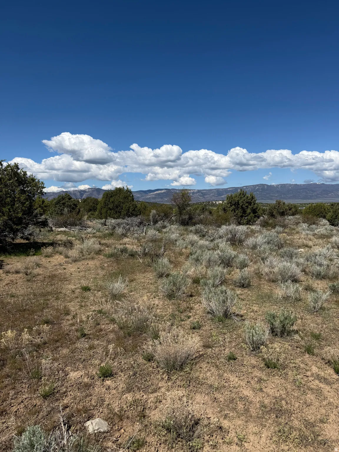 Expansive undeveloped land featuring natural desert vegetation and distant mountain ranges