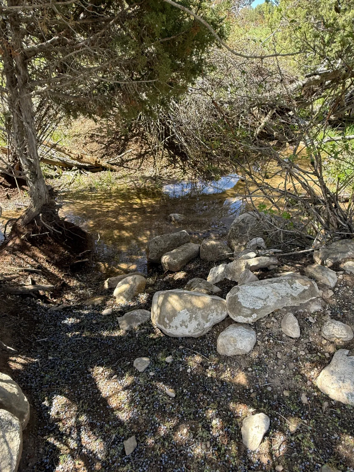 Natural water feature with surrounding vegetation