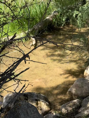 Natural water feature bordered by large rocks and dense vegetation