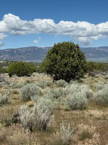 Expansive landscape featuring diverse shrubbery and distant mountains