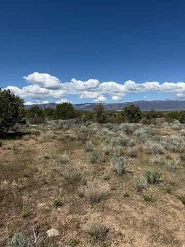 Expansive undeveloped land featuring natural desert vegetation and distant mountain ranges