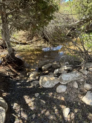 Natural water feature with surrounding vegetation