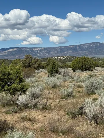 Expansive undeveloped land featuring natural vegetation and distant mountain ranges