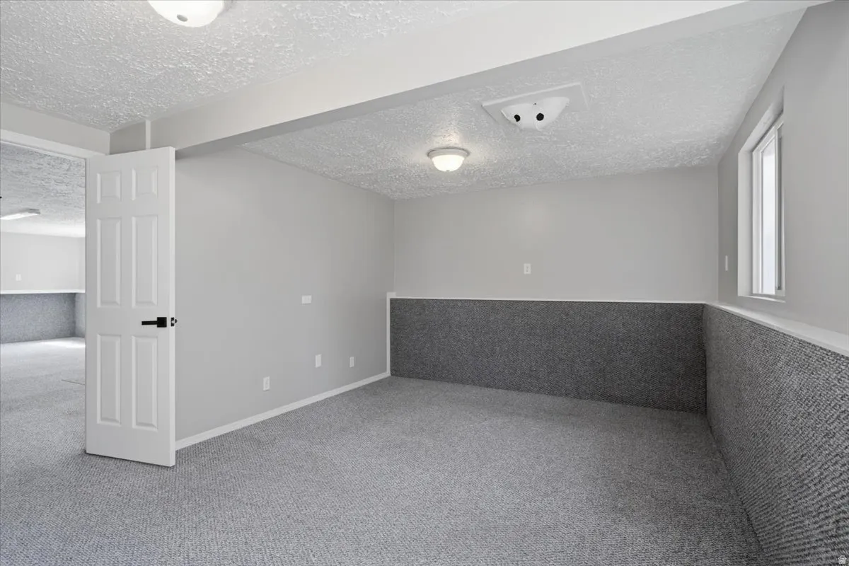Neutral gray wall paint with white trim, gray carpeting, recessed ceiling lighting, and a window for natural light
