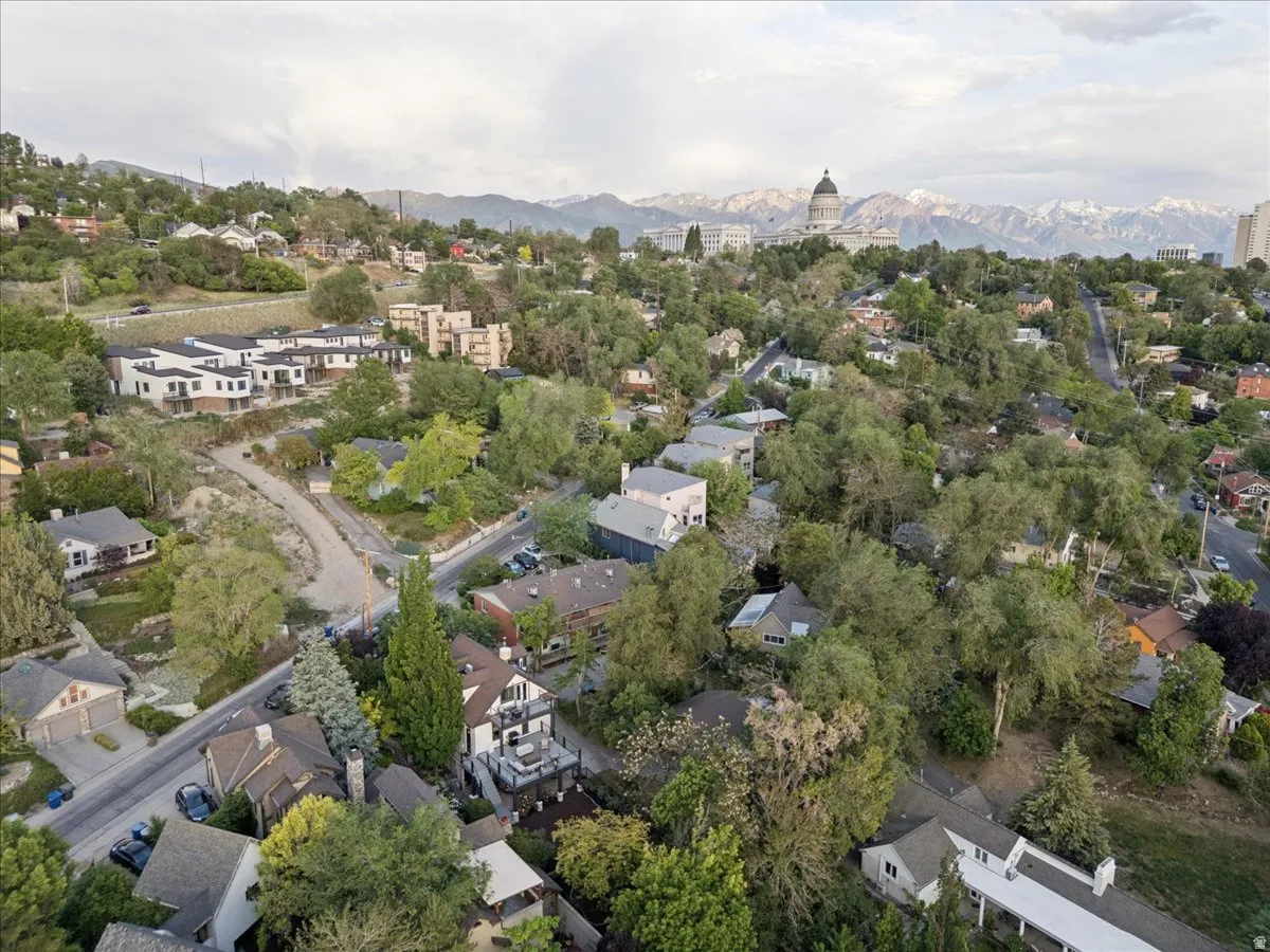Aerial perspective showcasing a residential area with varied architectural styles, mature trees, and a distant mountain range featuring snow-capped peaks