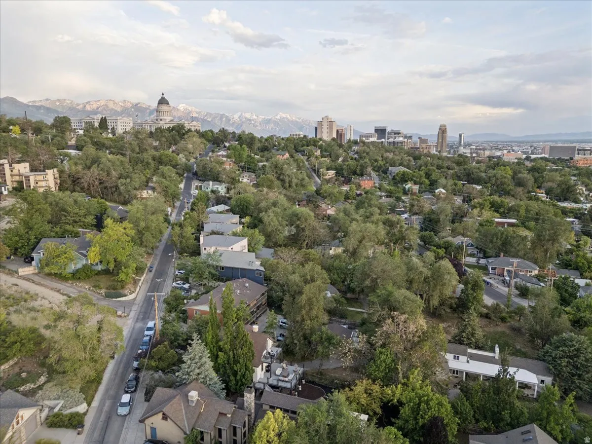 Hillside residential area with mature tree canopy, urban skyline, distant mountains, and visible street infrastructure