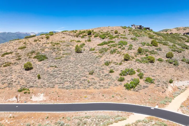 Paved road with adjacent undeveloped land featuring scattered shrubs and distant mountain scenery