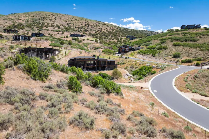 Paved road infrastructure surrounded by natural landscaping and multiple residences