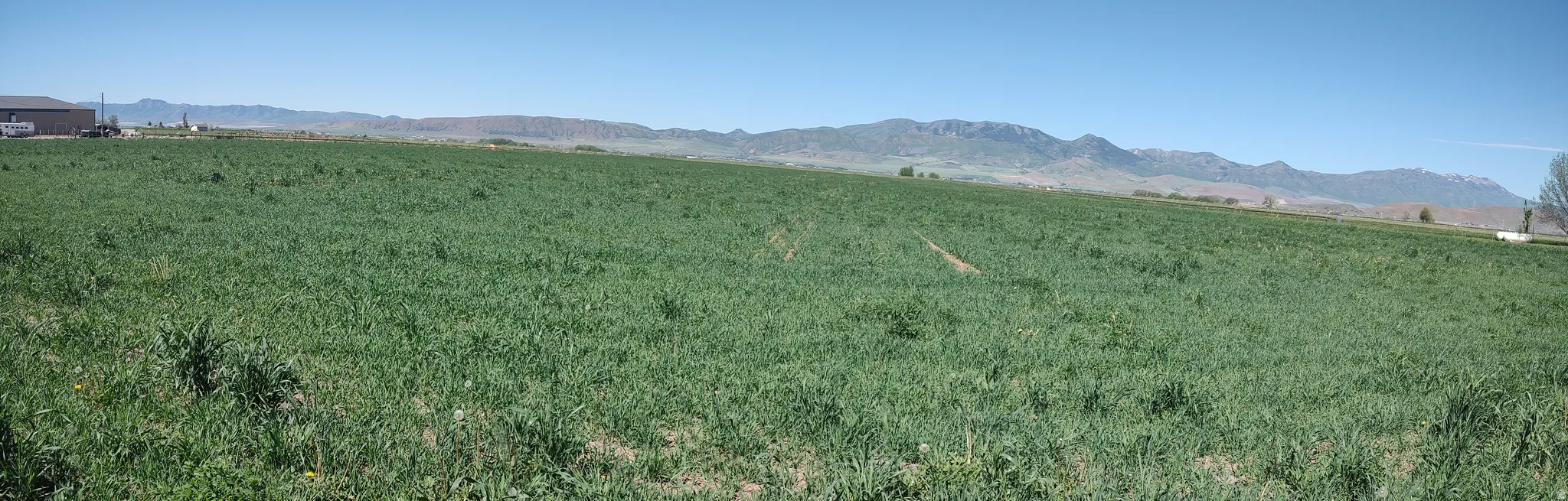 Expansive open field with green vegetation and distant mountain ranges under a clear sky