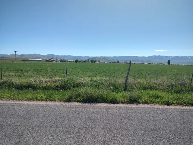 Expansive green field bordered by a paved road