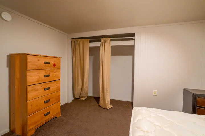 Carpeted interior space featuring a recessed closet opening, a ceiling-mounted light fixture, and horizontal wall paneling