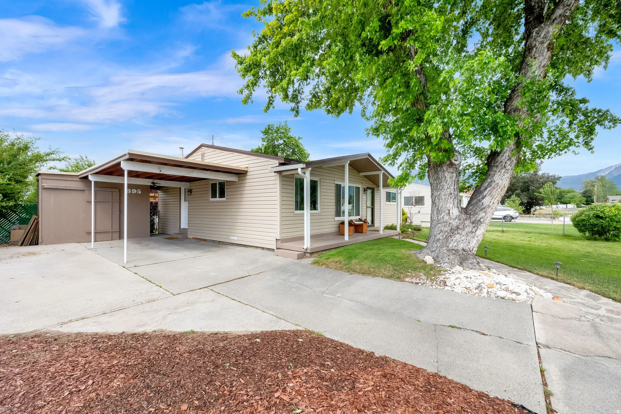 Property exterior featuring a covered carport, front porch, mature tree, and a concrete driveway