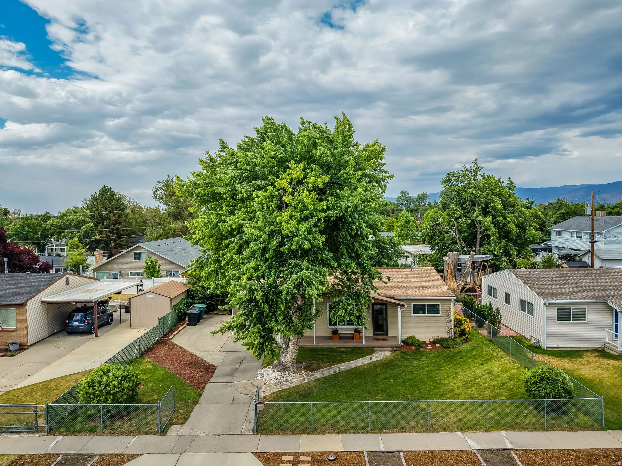 Established residence featuring a prominent mature tree, a covered carport, and a separate storage shed