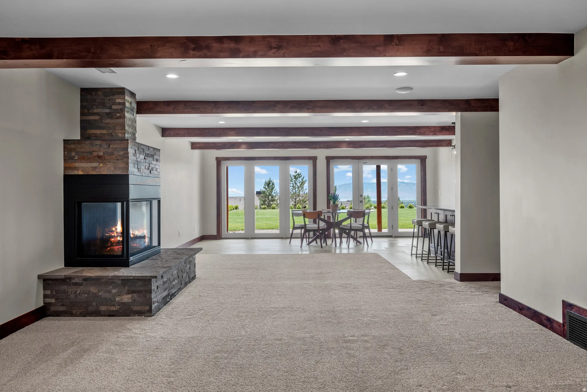 Basement Living Room