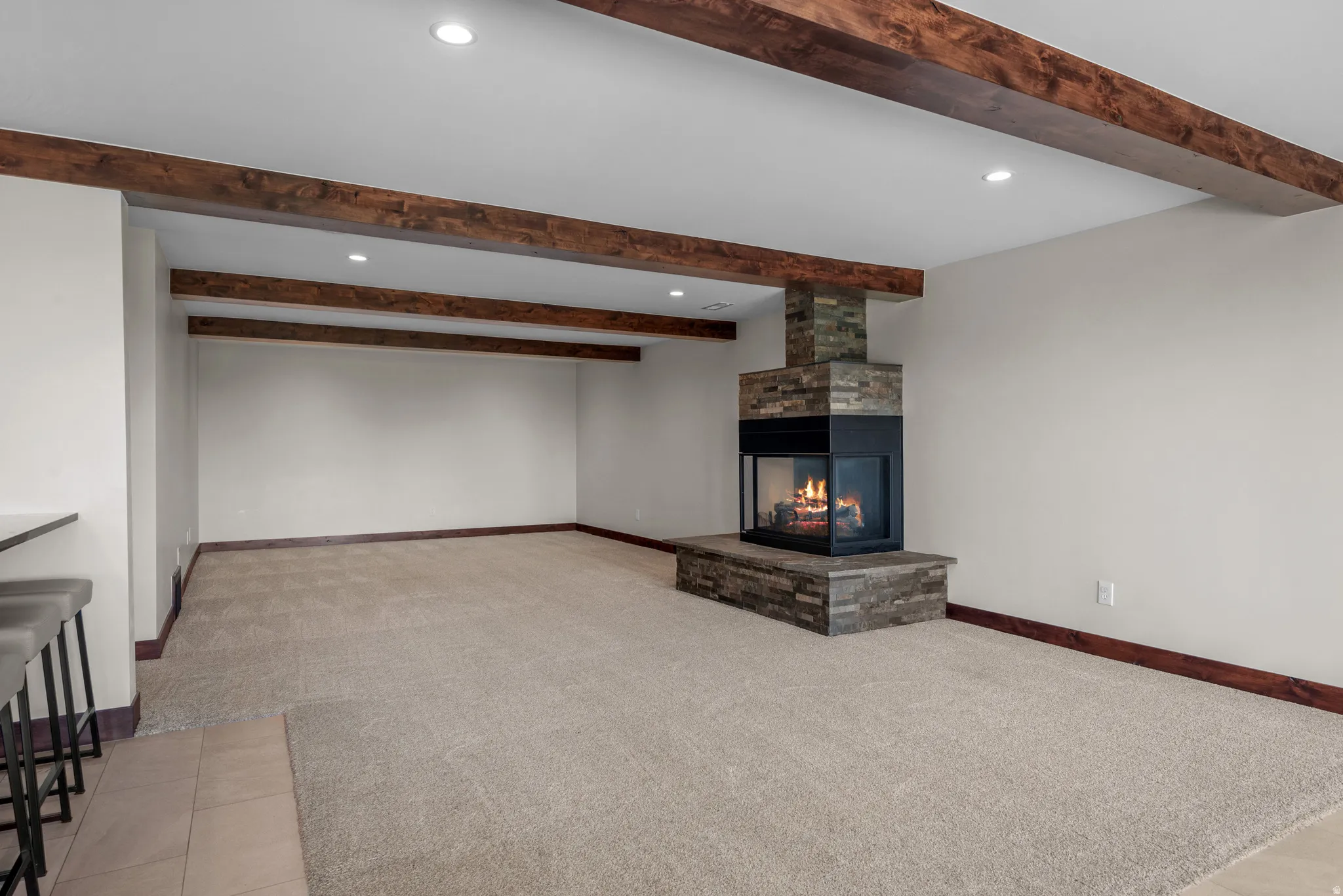 Basement Living Room