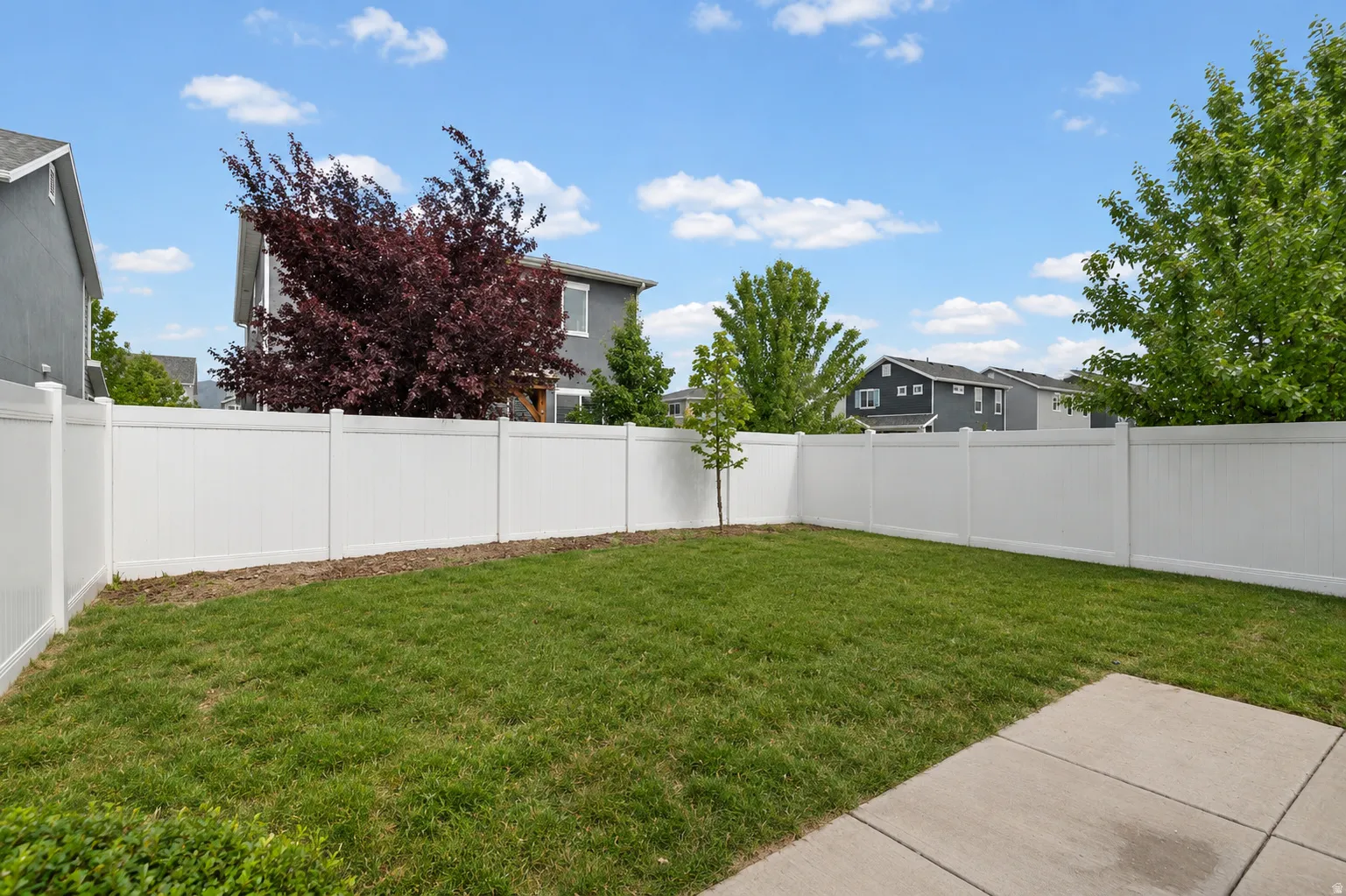 Expansive backyard featuring a manicured lawn, a young sapling, and a full perimeter white vinyl privacy fence