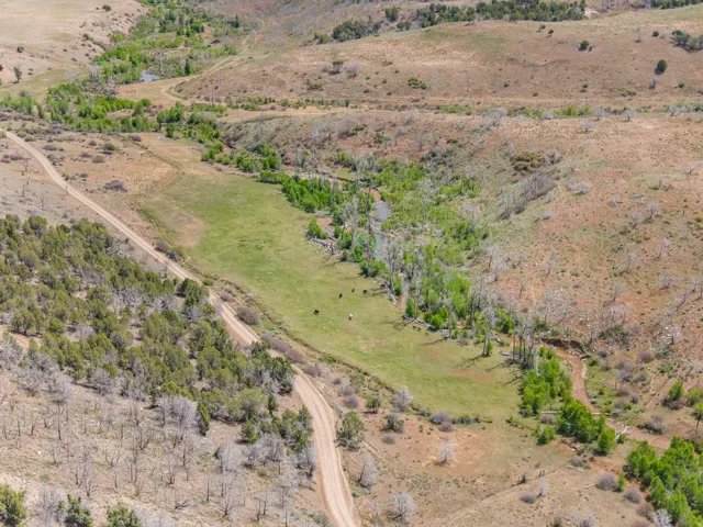 Expansive green pastureland with scattered trees, a winding dirt road, and gently sloping terrain